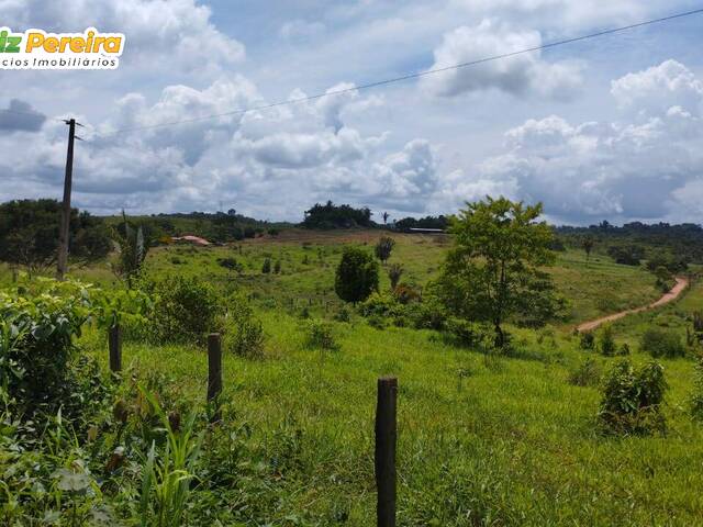 #2956 - Fazenda para Venda em Pacajá - PA - 2