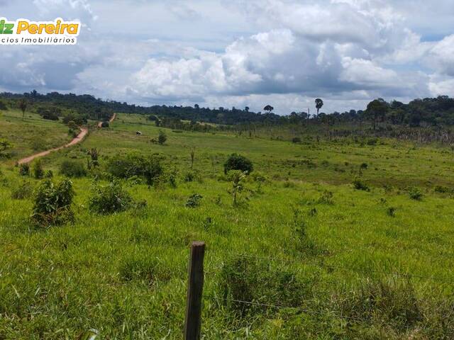 #2956 - Fazenda para Venda em Pacajá - PA - 3