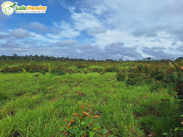 #2958 - Fazenda para Venda em Apuí - AM - 1