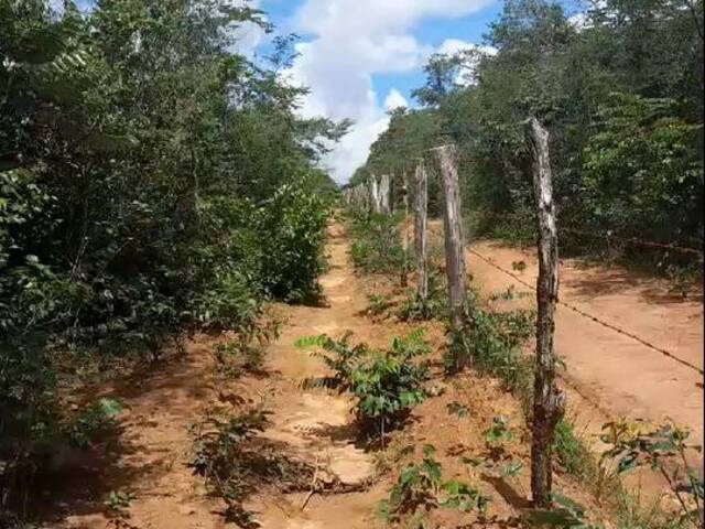 #2959 - Fazenda para Venda em Grajaú - MA - 3