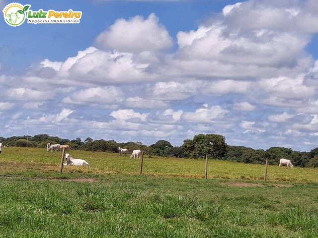 Venda em Zona Rural - Abreulândia