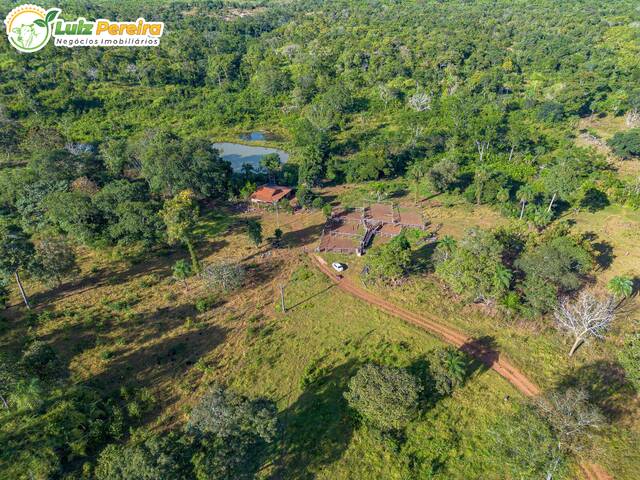 #2961 - Chácara para Venda em Floresta do Araguaia - PA - 1