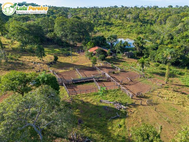 #2961 - Chácara para Venda em Floresta do Araguaia - PA - 3