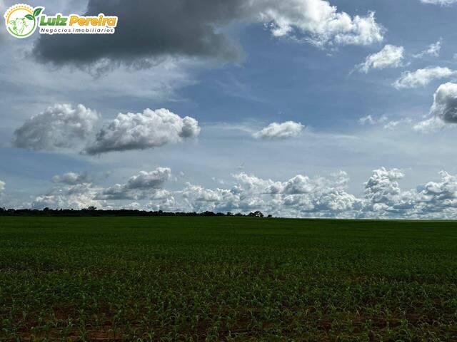 #2971 - Fazenda para Venda em Araguaína - TO - 3