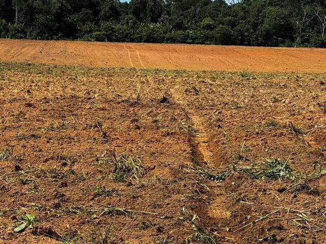 #2973 - Fazenda para Venda em Xinguara - PA - 2