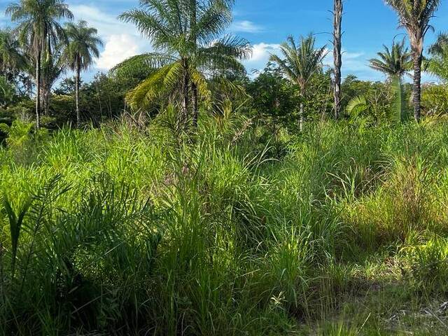 #2974 - Fazenda para Venda em Balsas - MA - 2