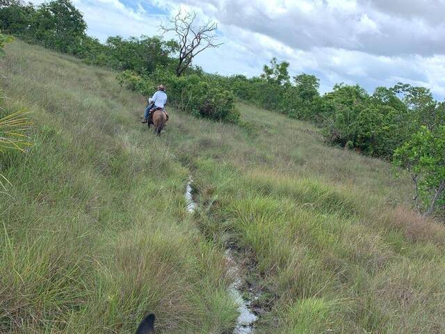 Venda em St norte - Almas