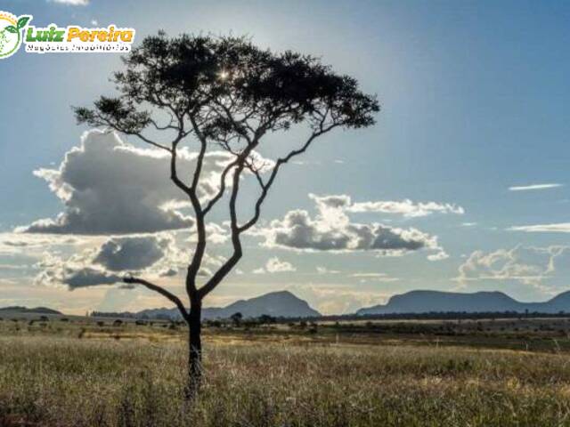 Venda em Zona Rural - Novo Acordo