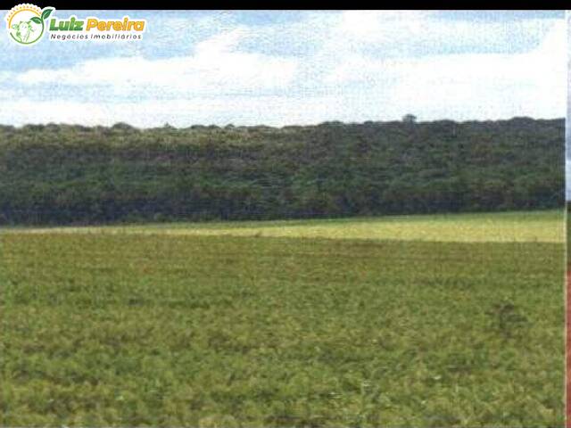 #2977 - Fazenda para Venda em Nova Maringá - MT - 1