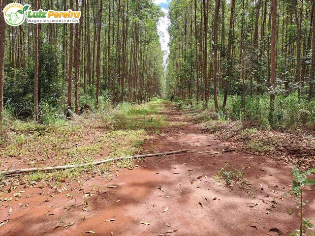 #2978 - Fazenda para Venda em Araguaína - TO - 2