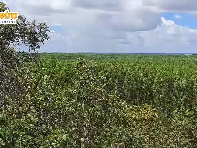 #2978 - Fazenda para Venda em Araguaína - TO - 1