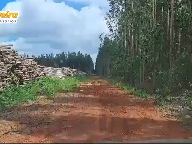 #2978 - Fazenda para Venda em Araguaína - TO - 3