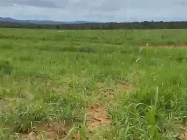 #2980 - Fazenda para Venda em Darcinópolis - TO - 2