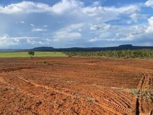 #2980 - Fazenda para Venda em Darcinópolis - TO - 1