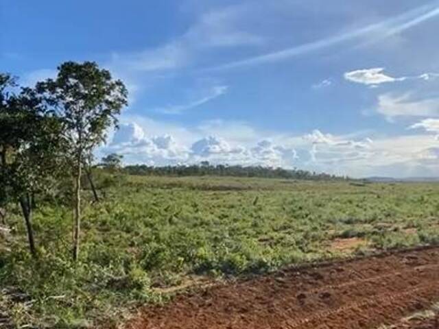 #2980 - Fazenda para Venda em Darcinópolis - TO - 3