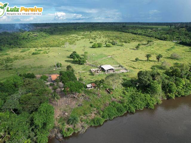 #2982 - Fazenda para Venda em Tailândia - PA - 1