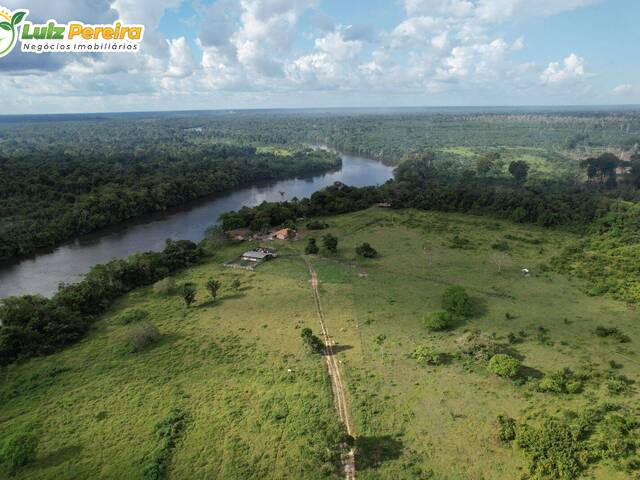 #2982 - Fazenda para Venda em Tailândia - PA - 3