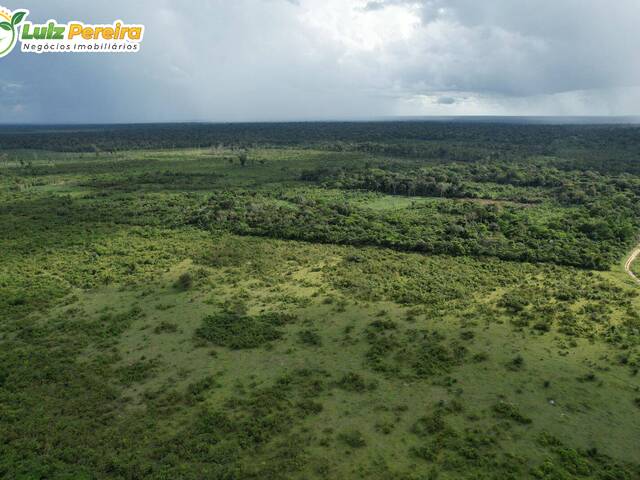 #2982 - Fazenda para Venda em Tailândia - PA - 2