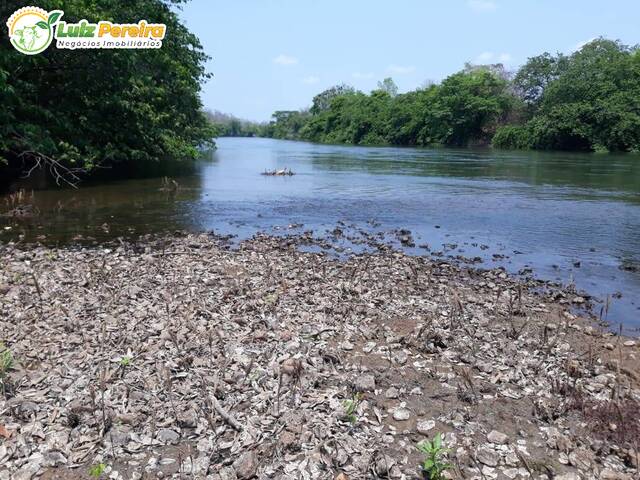 #2984 - Fazenda para Venda em Sambaíba - MA - 1