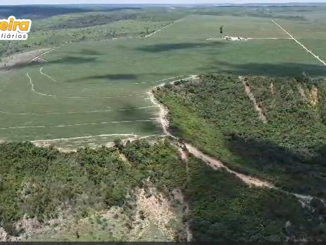 #2983 - Fazenda para Venda em Bom Jesus - PI - 3