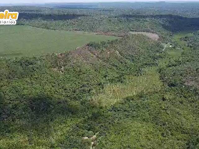 #2983 - Fazenda para Venda em Bom Jesus - PI - 2