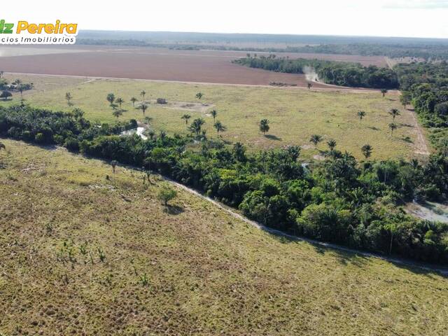 #2981 - Fazenda para Venda em Confresa - MT - 2