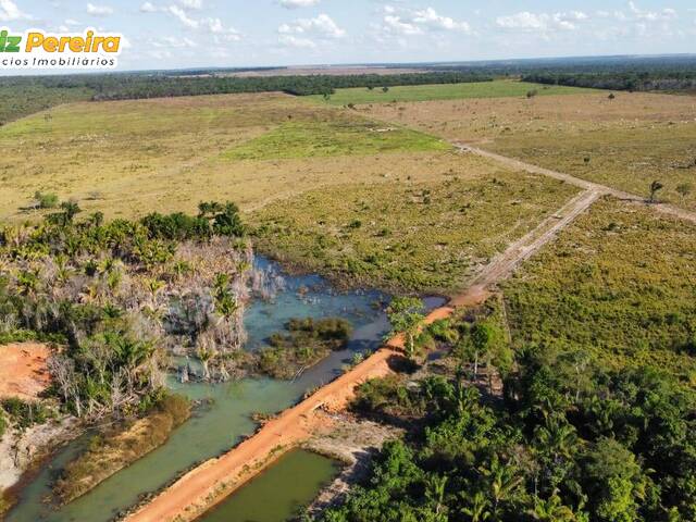 #2981 - Fazenda para Venda em Confresa - MT - 3