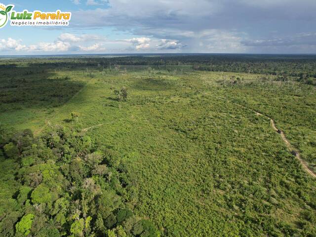 #2985 - Fazenda para Venda em Tailândia - PA - 1