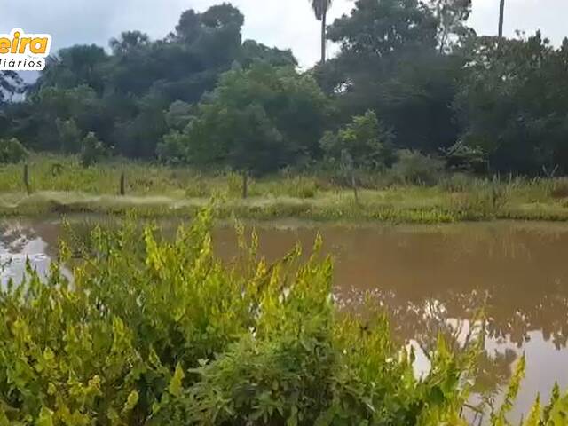 Venda em St. Norte - Peixe