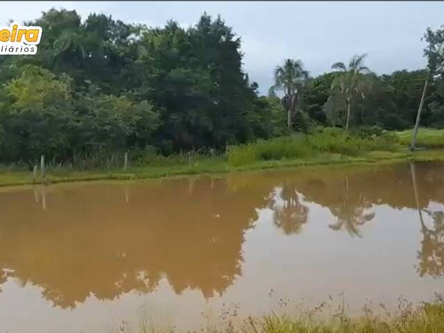 #2987 - Fazenda para Venda em Peixe - TO - 3