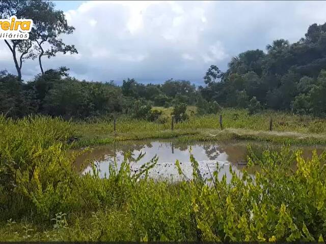 #2987 - Fazenda para Venda em Peixe - TO - 2