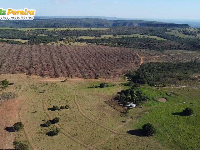 #2989 - Fazenda para Venda em Portel - PA - 1