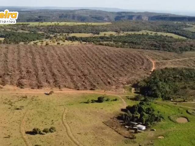 #2989 - Fazenda para Venda em Portel - PA - 2