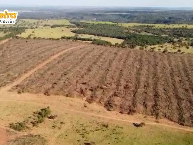 #2989 - Fazenda para Venda em Portel - PA - 3