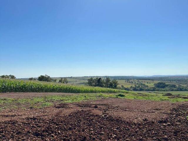 Venda em Zona Rural - Sidrolândia