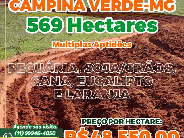 #3003 - Fazenda para Venda em Campina Verde - MG - 3