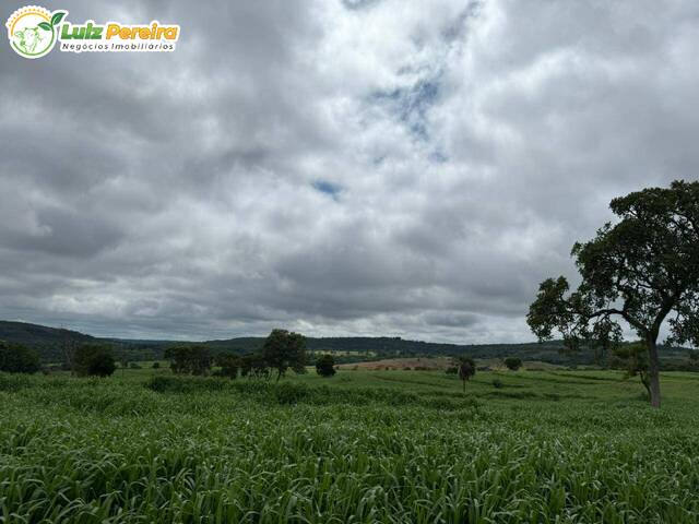 #3008 - Fazenda para Venda em Campina Verde - MG - 3