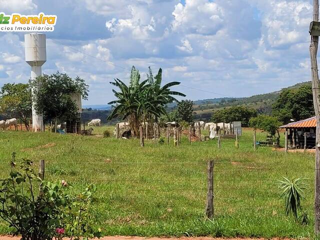 #3008 - Fazenda para Venda em Campina Verde - MG - 1