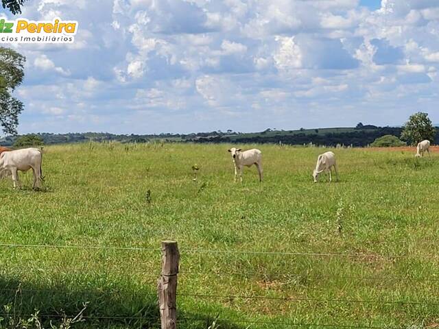 #3008 - Fazenda para Venda em Campina Verde - MG - 2