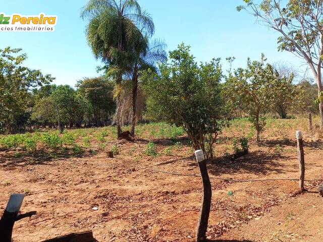 #3009 - Fazenda para Venda em Campina Verde - MG - 1