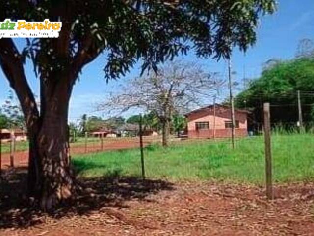 #3009 - Fazenda para Venda em Campina Verde - MG - 3