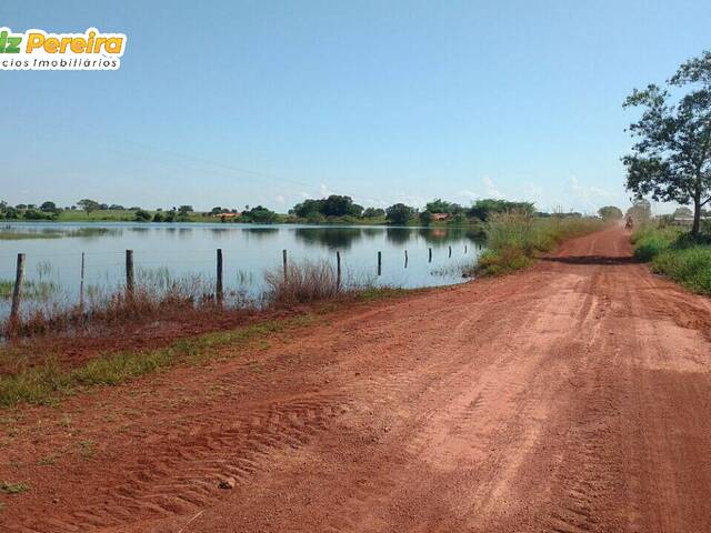 #3009 - Fazenda para Venda em Campina Verde - MG - 2