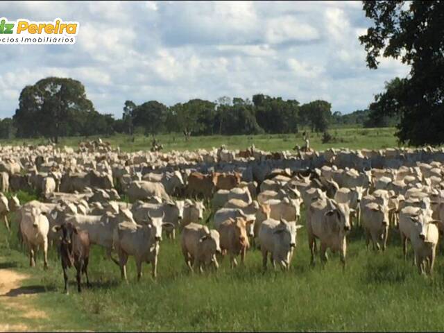 #2970 - Fazenda para Venda em Cuiabá - MT - 1