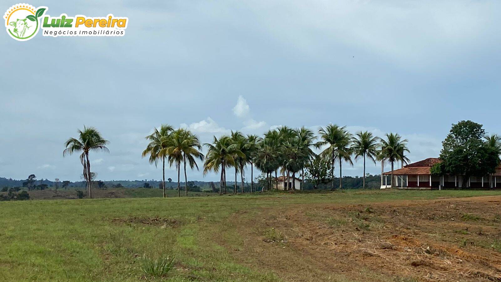 Terreno à venda, 87120000m² - Foto 3