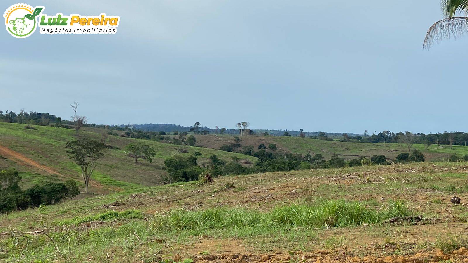 Terreno à venda, 87120000m² - Foto 1