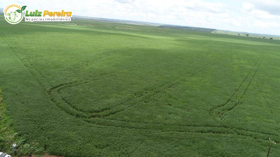 Fazenda à venda, 103970000m² - Foto 5