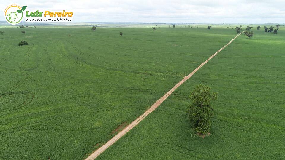 Fazenda à venda, 103970000m² - Foto 9