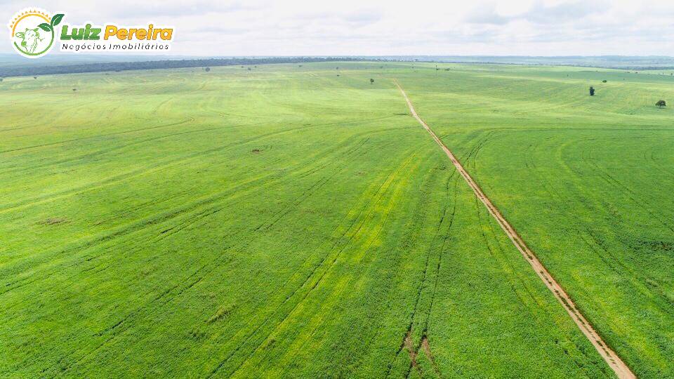 Fazenda à venda, 103970000m² - Foto 16