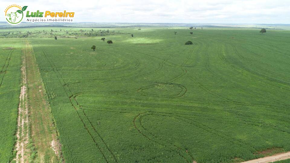 Fazenda à venda, 103970000m² - Foto 20