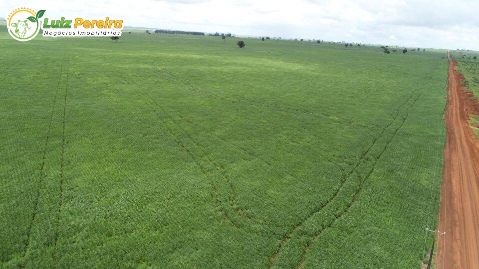 Fazenda à venda, 103970000m² - Foto 17